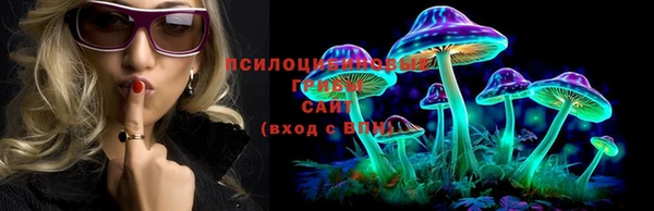 а пвп мука Балабаново