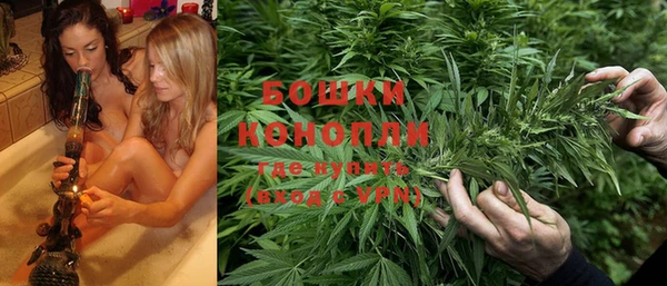 дживик Балахна