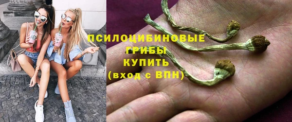 дживик Балахна