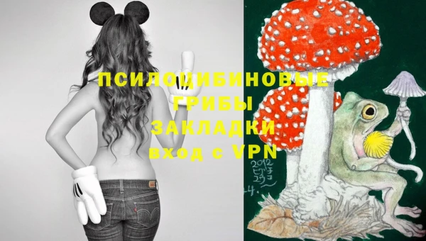 дживик Балахна